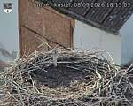 Capi_Dubne_20260908_181503.jpg
