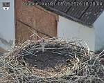 Capi_Dubne_20260908_182004.jpg