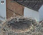 Capi_Dubne_20260908_183502.jpg