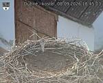 Capi_Dubne_20260908_184503.jpg