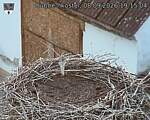 Capi_Dubne_20260908_191504.jpg
