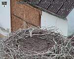 Capi_Dubne_20260908_192502.jpg