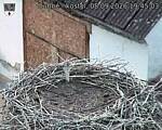 Capi_Dubne_20260908_194503.jpg