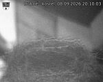 Capi_Dubne_20260908_201003.jpg