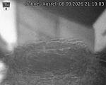 Capi_Dubne_20260908_211003.jpg