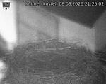 Capi_Dubne_20260908_212502.jpg