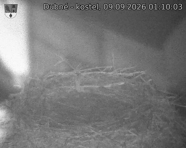 Capi_Dubne_20260909_011003.jpg (1350&nbsp;x&nbsp;1080)