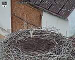 Capi_Dubne_20260909_084503.jpg