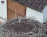 Capi_Dubne_20260909_104504.jpg