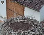 Capi_Dubne_20260909_105503.jpg