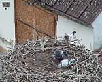 Capi_Dubne_20260909_124003.jpg