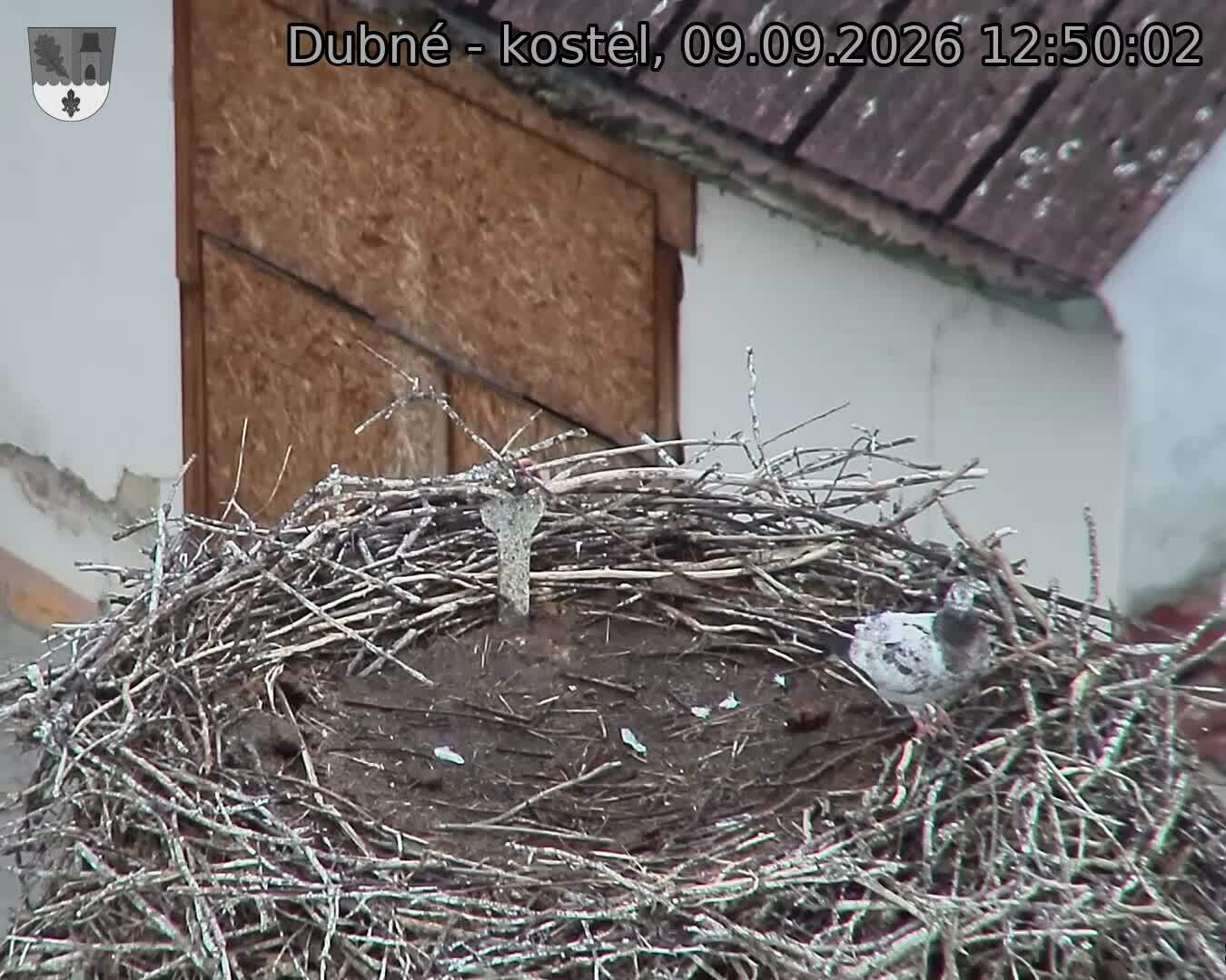 preload