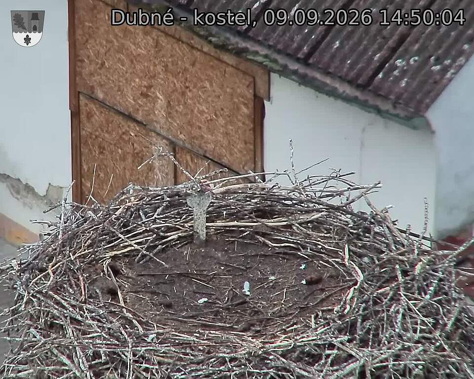preload
