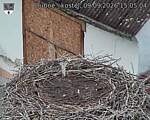 Capi_Dubne_20260909_150504.jpg