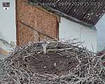 Capi_Dubne_20260909_151003.jpg