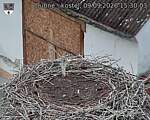 Capi_Dubne_20260909_153003.jpg