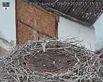 Capi_Dubne_20260909_153503.jpg