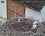 Capi_Dubne_20260909_155502.jpg