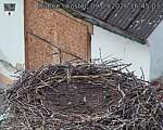 Capi_Dubne_20260909_164503.jpg