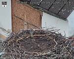 Capi_Dubne_20260909_170003.jpg