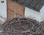 Capi_Dubne_20260909_171504.jpg
