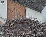Capi_Dubne_20260909_172003.jpg