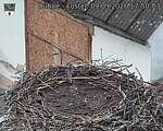 Capi_Dubne_20260909_175003.jpg
