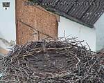 Capi_Dubne_20260909_180502.jpg