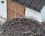 Capi_Dubne_20260909_181502.jpg