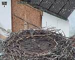 Capi_Dubne_20260909_182004.jpg