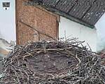 Capi_Dubne_20260909_183004.jpg