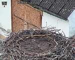 Capi_Dubne_20260909_190503.jpg
