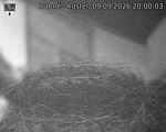 Capi_Dubne_20260909_200003.jpg