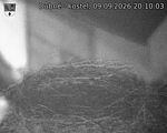 Capi_Dubne_20260909_201003.jpg