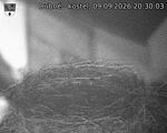 Capi_Dubne_20260909_203003.jpg