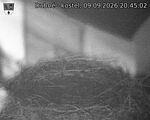 Capi_Dubne_20260909_204502.jpg
