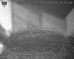 Capi_Dubne_20260909_205502.jpg