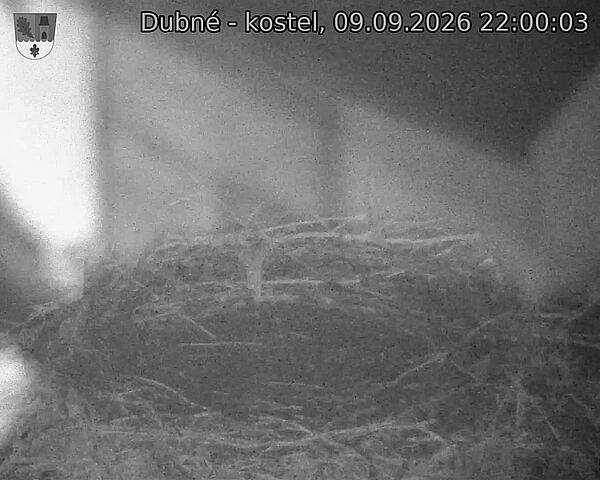 preload