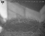 Capi_Dubne_20260909_221504.jpg