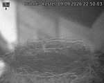 Capi_Dubne_20260909_225003.jpg