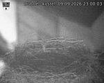 Capi_Dubne_20260909_230003.jpg
