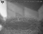 Capi_Dubne_20260909_230504.jpg