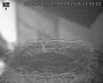 Capi_Dubne_20260909_235502.jpg