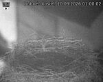 Capi_Dubne_20260910_010002.jpg
