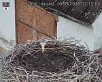 Capi_Dubne_20260910_071504.jpg