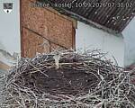 Capi_Dubne_20260910_073002.jpg