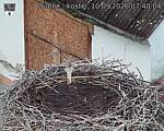 Capi_Dubne_20260910_074004.jpg