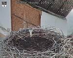 Capi_Dubne_20260910_075504.jpg