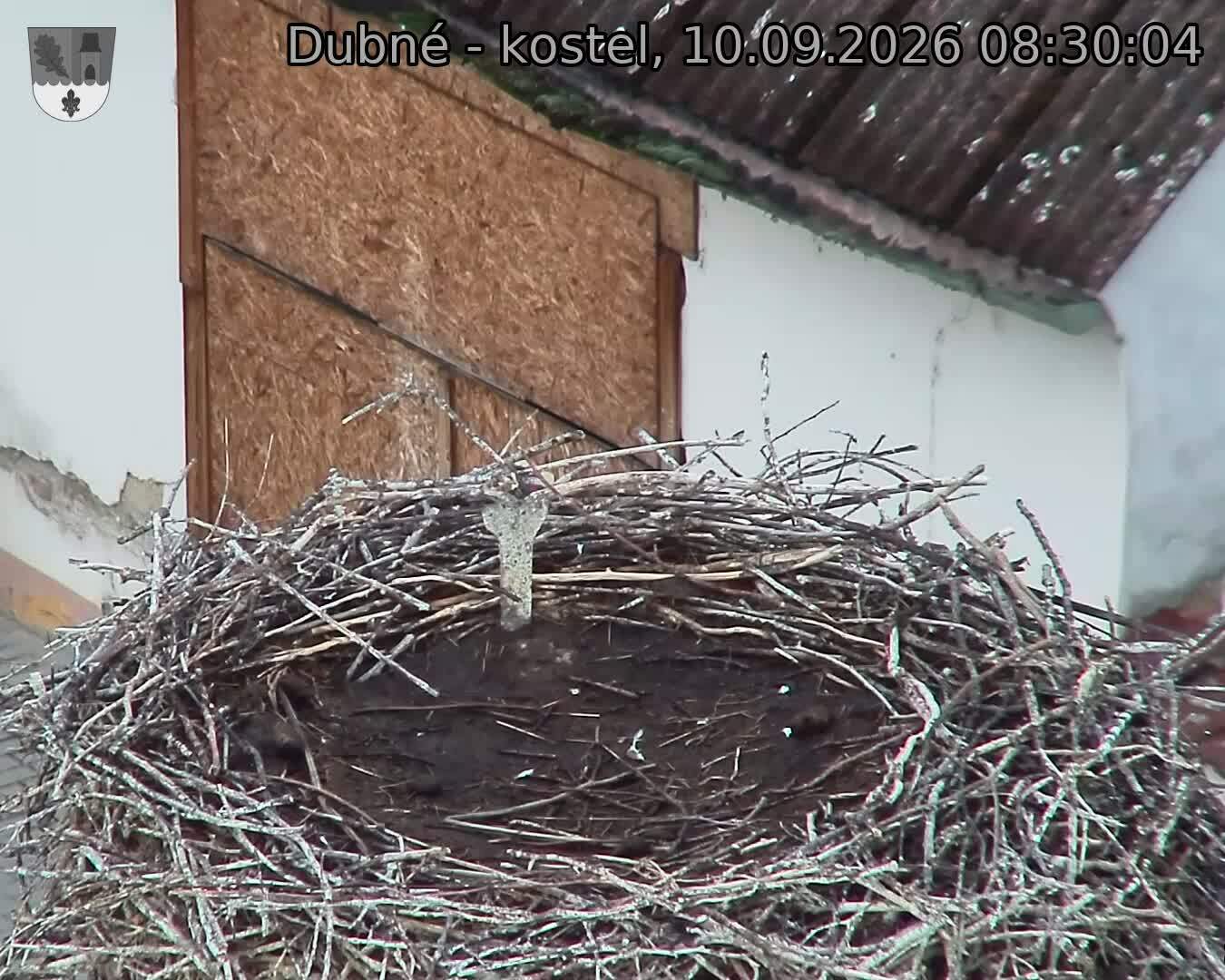 Capi_Dubne_20260910_083004.jpg (1350&nbsp;x&nbsp;1080)
