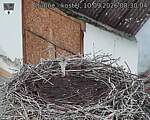 Capi_Dubne_20260910_083004.jpg